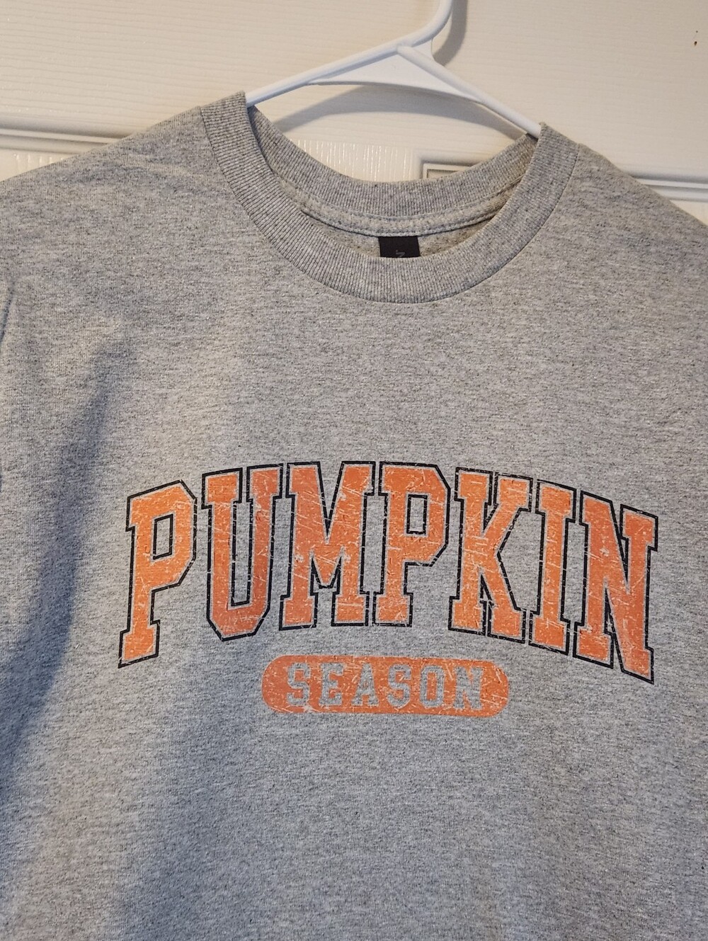 PUMPKIN SEASON TSHIRT, NWOT